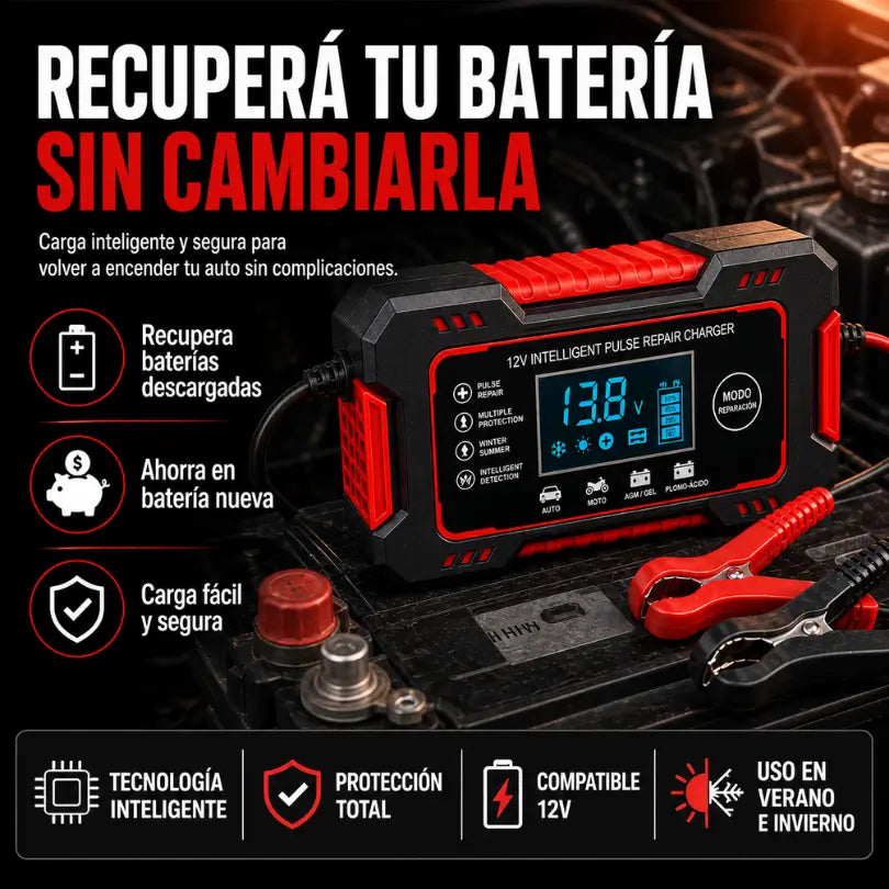 Cargador de Baterías