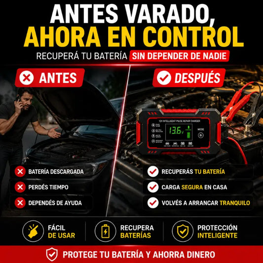 Cargador de Baterías