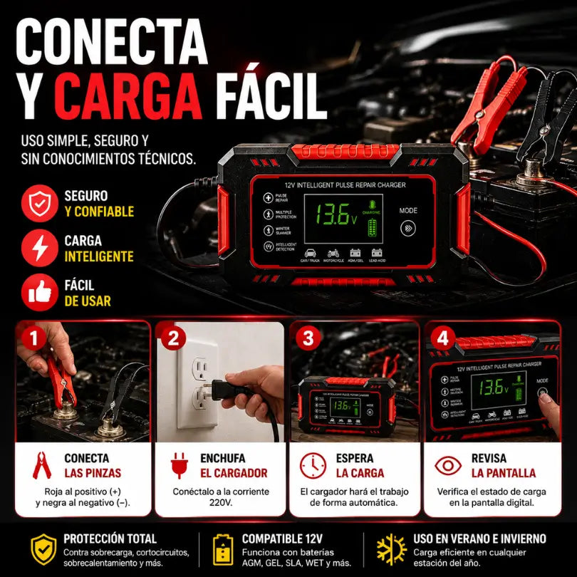 Cargador de Baterías
